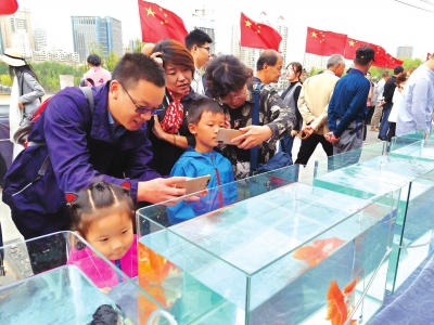 長假期間，有趣的活動(dòng)吸引了市民圍觀